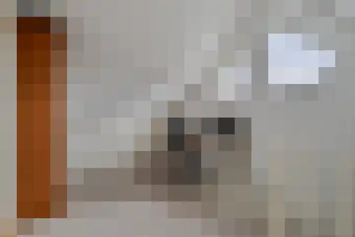 Kleine Dreef 23 Veldhoven thumbnail 25