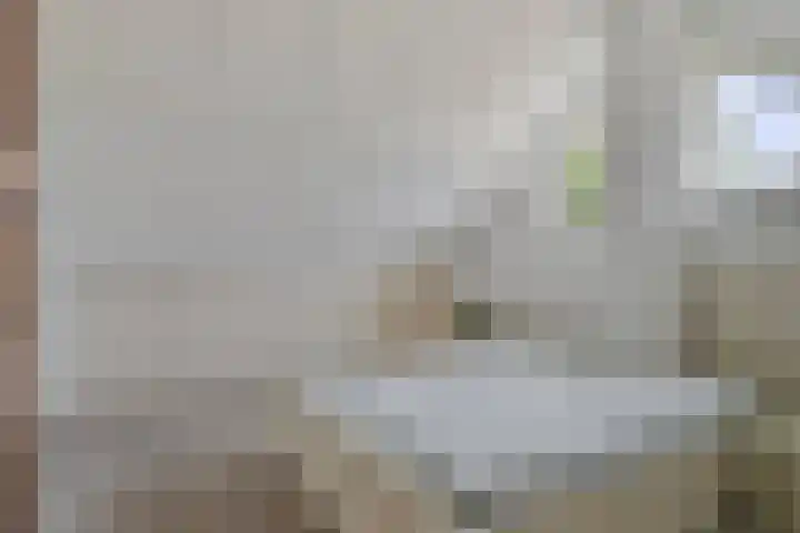 Kleine Dreef 23 Veldhoven thumbnail 27