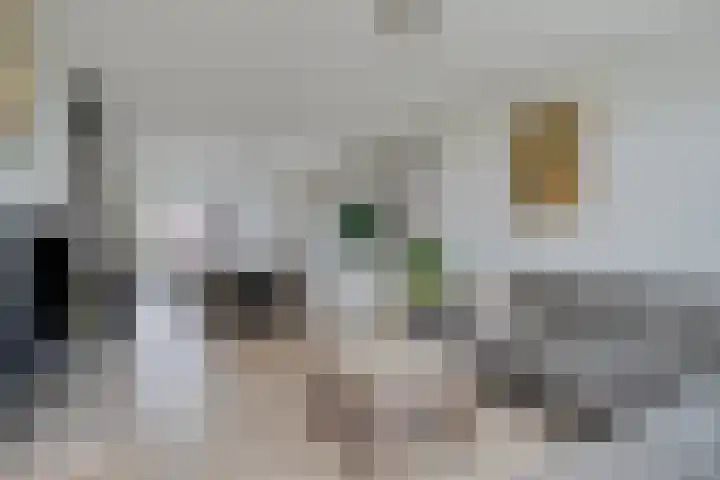 Kleine Dreef 23 Veldhoven foto 3