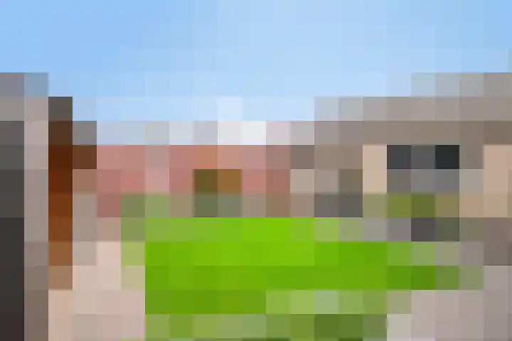 Kleine Dreef 23 Veldhoven thumbnail 31