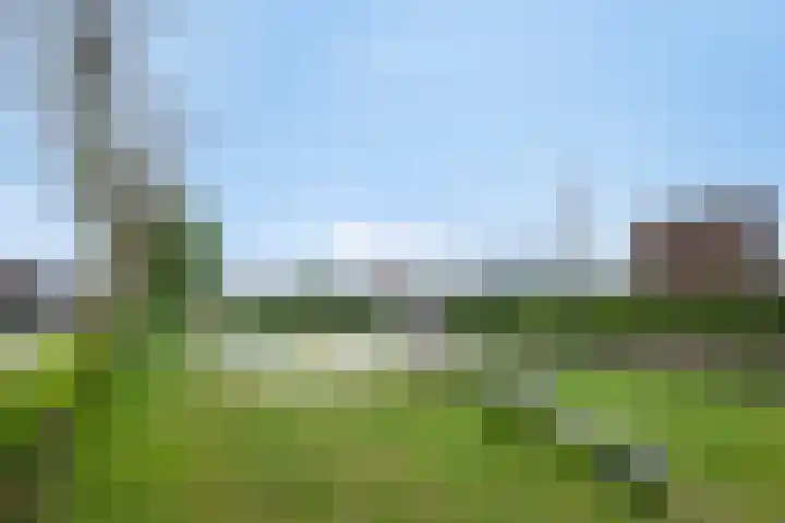 Kleine Dreef 23 Veldhoven thumbnail 38