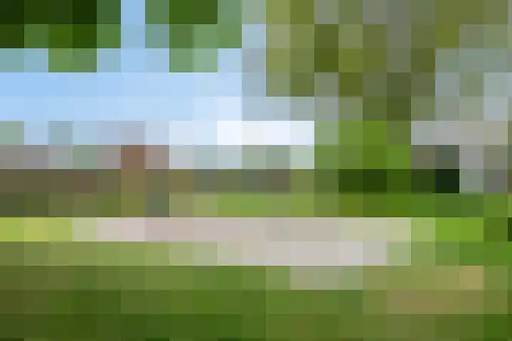 Kleine Dreef 23 Veldhoven thumbnail 40