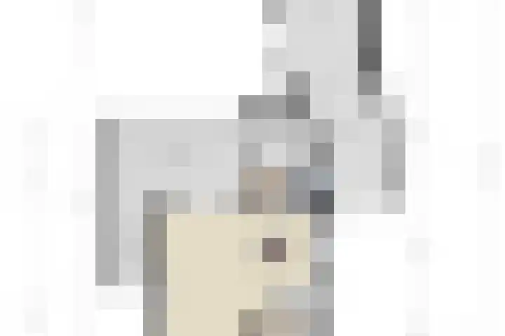 Kleine Dreef 23 Veldhoven thumbnail 41