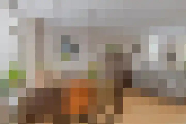 Kleine Dreef 7 Drempt thumbnail 16