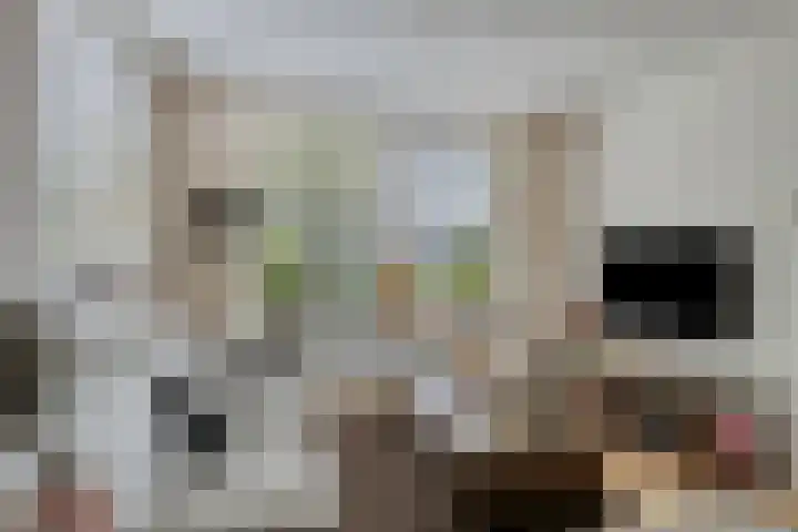Kleine Dreef 7 Drempt foto 2