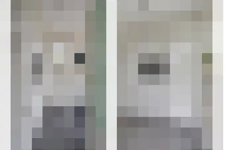 Kleine Dreef 7 Drempt thumbnail 20