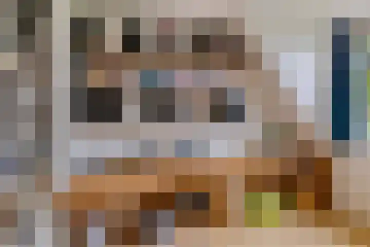 Kleine Dreef 7 Drempt thumbnail 25