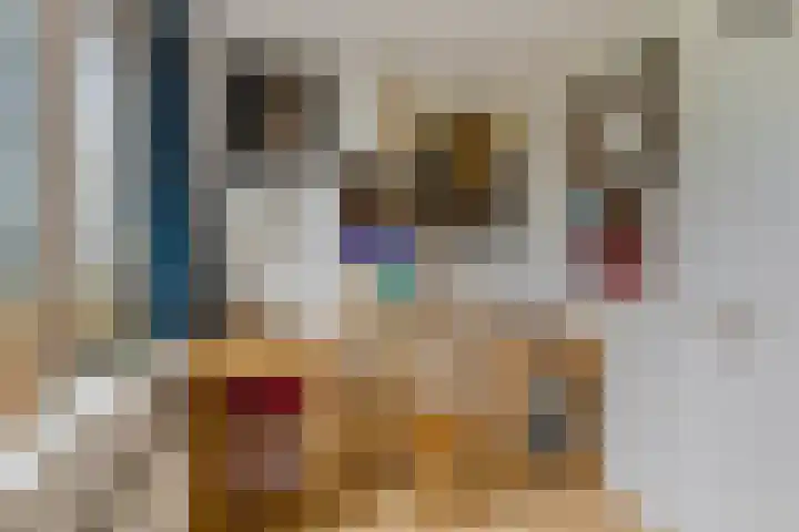 Kleine Dreef 7 Drempt thumbnail 28