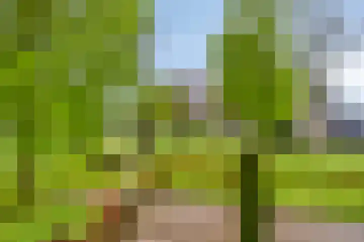 Kleine Dreef 7 Drempt thumbnail 29