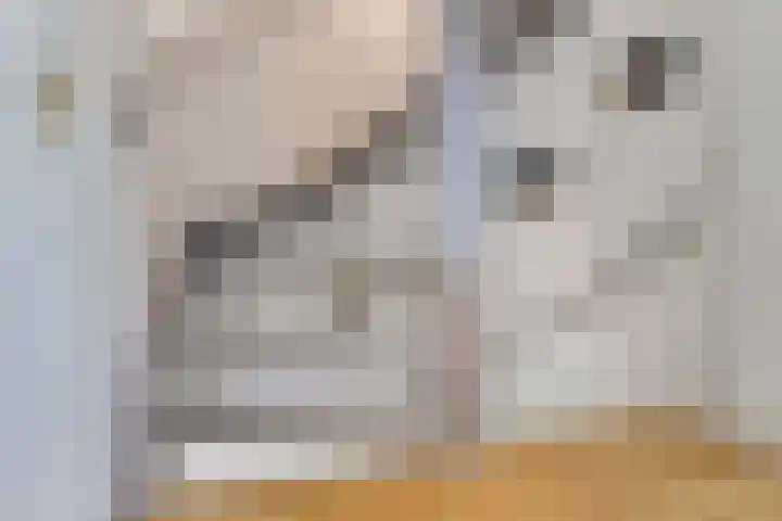 Kleine Dreef 7 Drempt thumbnail 32