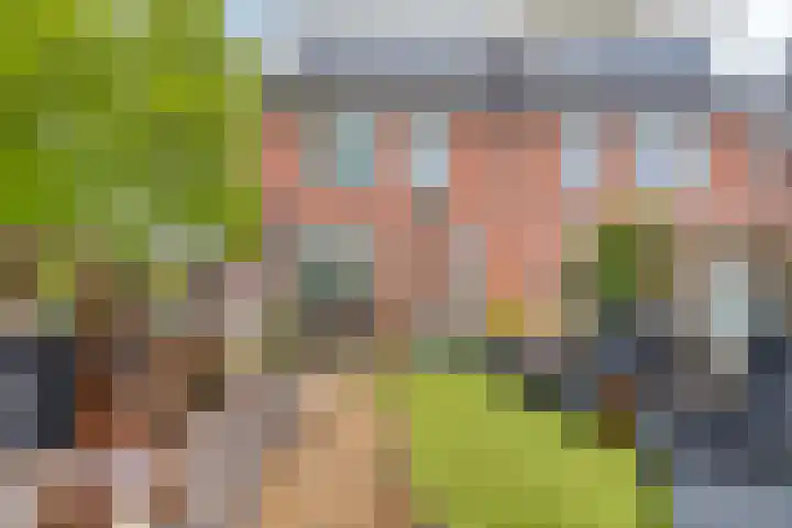 Kleine Dreef 7 Drempt thumbnail 36
