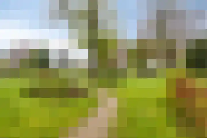 Kleine Dreef 7 Drempt thumbnail 39
