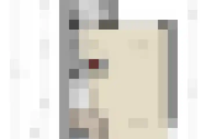 Kleine Dreef 7 Drempt thumbnail 40