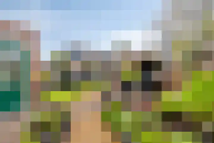 Kleine Dreef 7 Drempt thumbnail 5