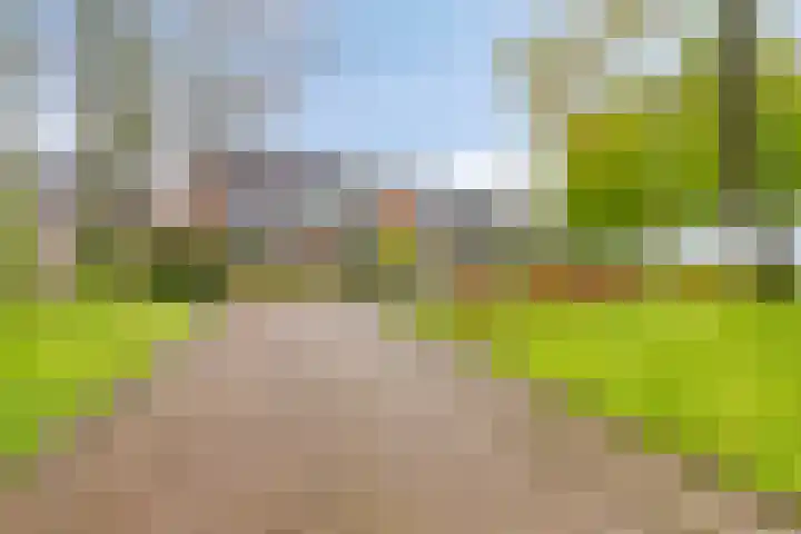 Kleine Dreef 7 Drempt thumbnail 7