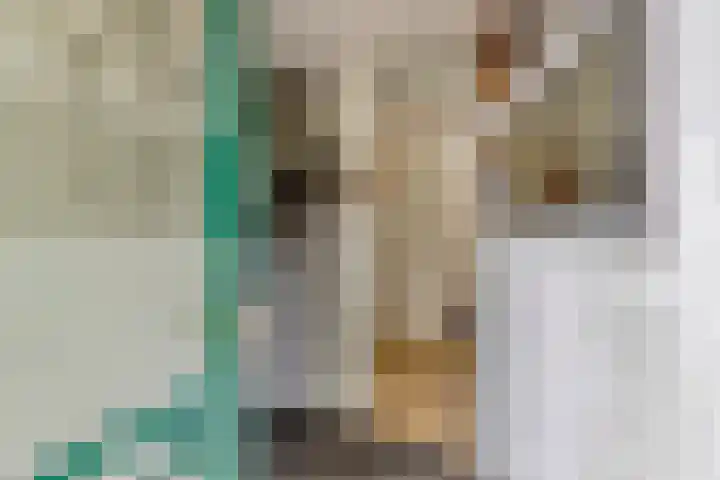 Kleine Dreef 7 Drempt thumbnail 8