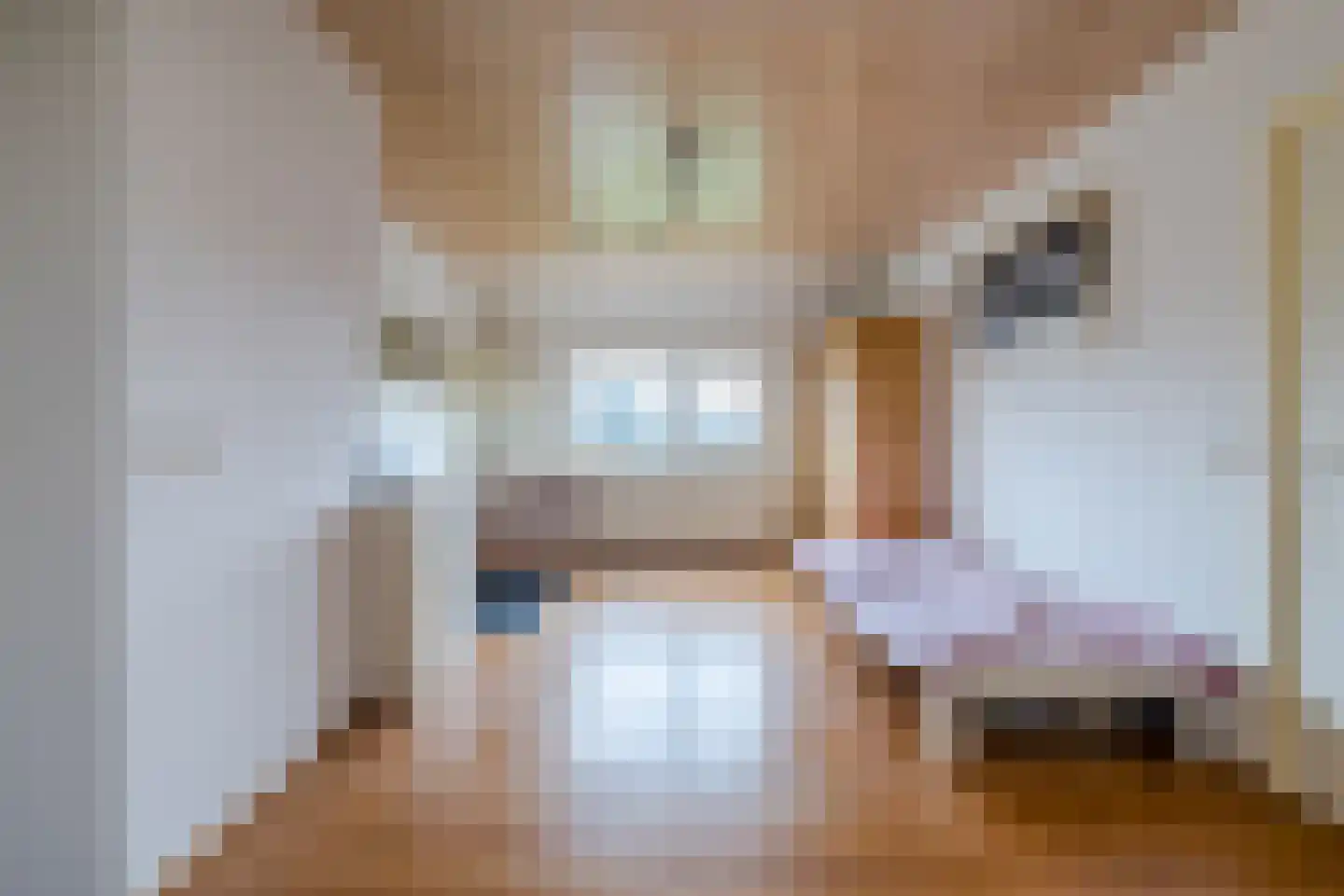 Kleine Dreef 7 Veldhoven thumbnail 27