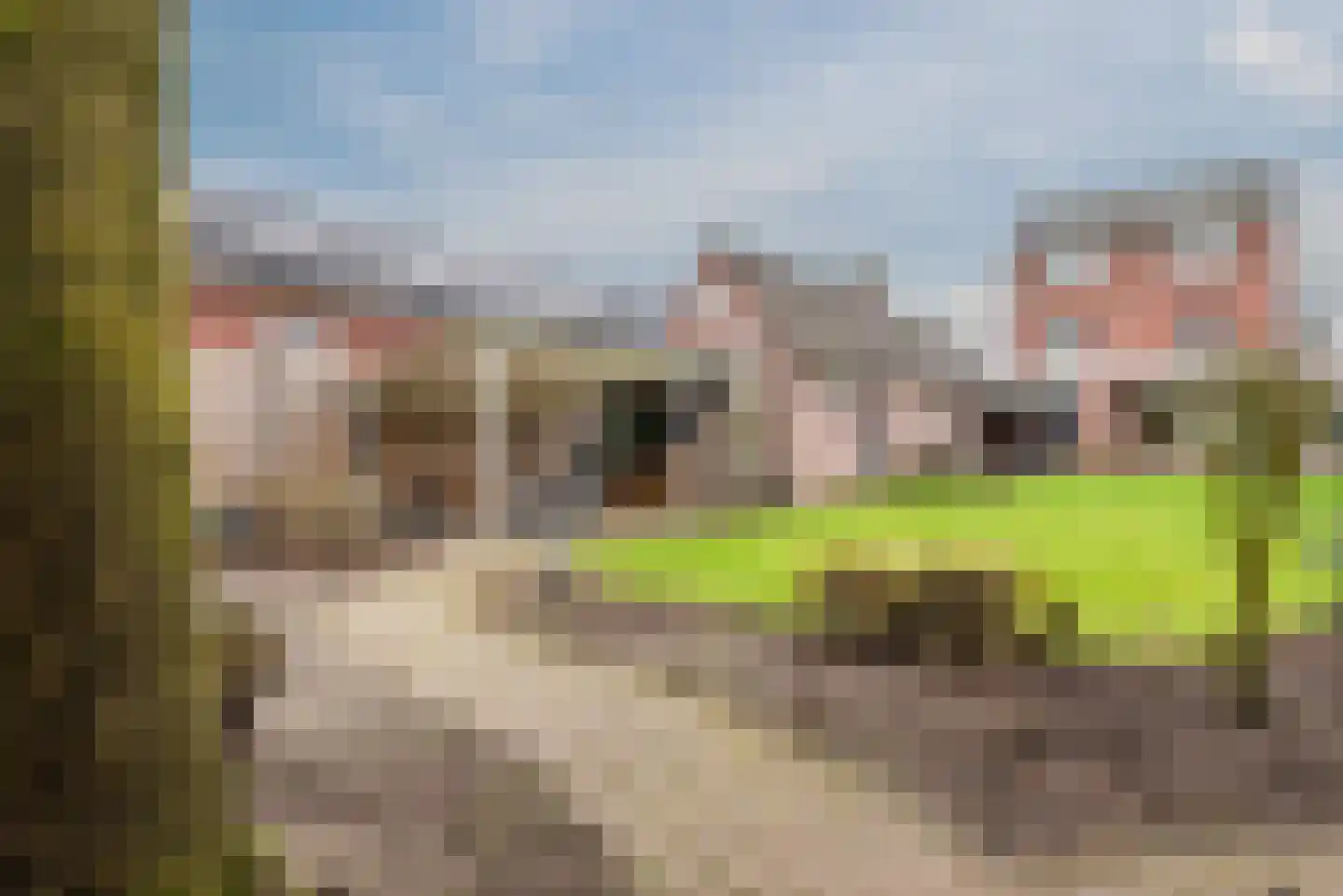 Kleine Dreef 7 Veldhoven thumbnail 34