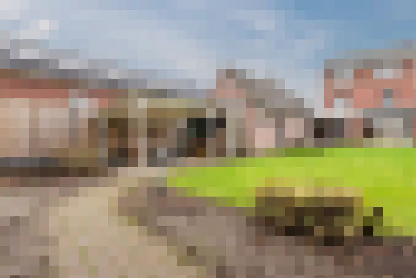 Kleine Dreef 7 Veldhoven thumbnail 35