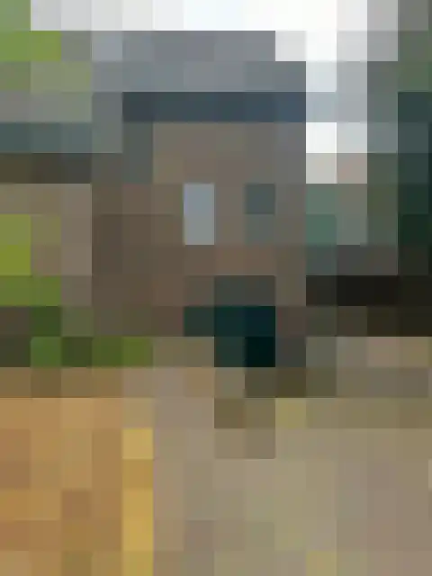 Kleine Dries 21 Holtum thumbnail 13