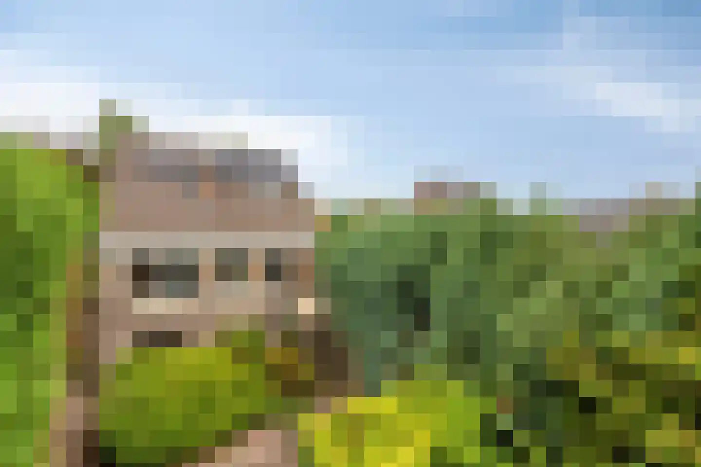 Kleine Dries 21 Holtum thumbnail 19