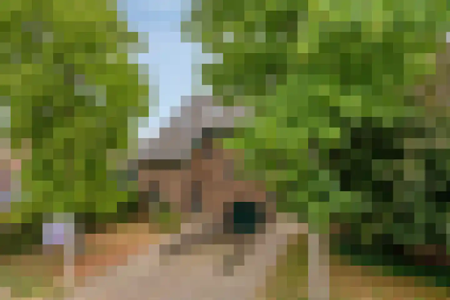 Kleine Dries 21 Holtum thumbnail 20