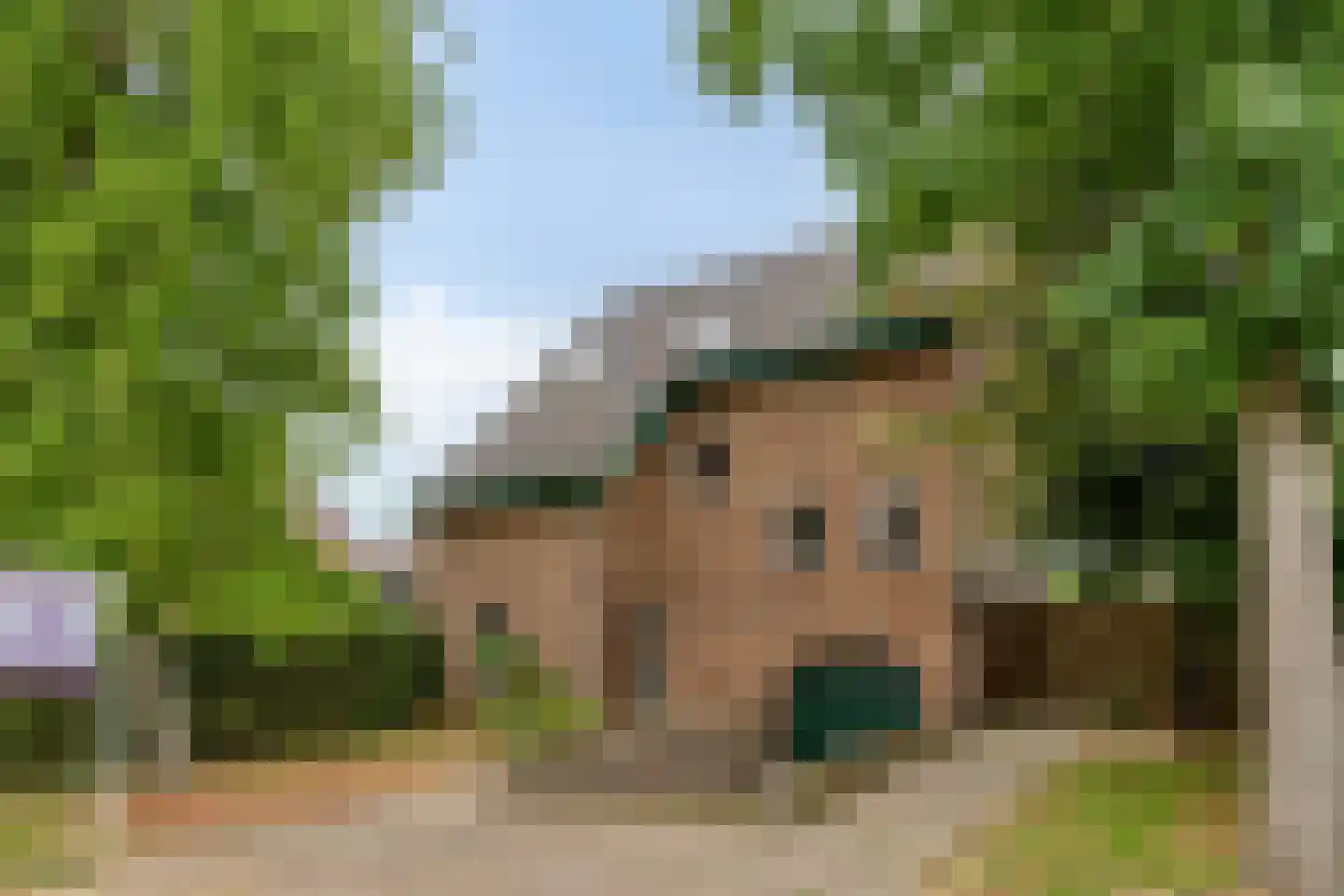 Kleine Dries 21 Holtum thumbnail 24