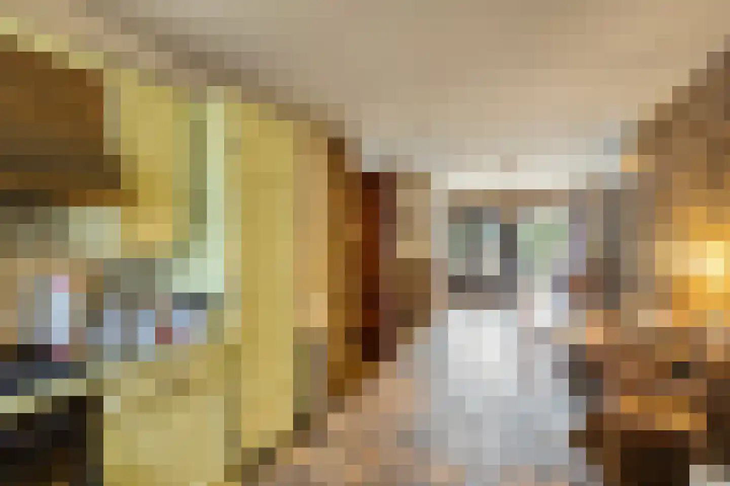 Kleine Dries 21 Holtum thumbnail 25