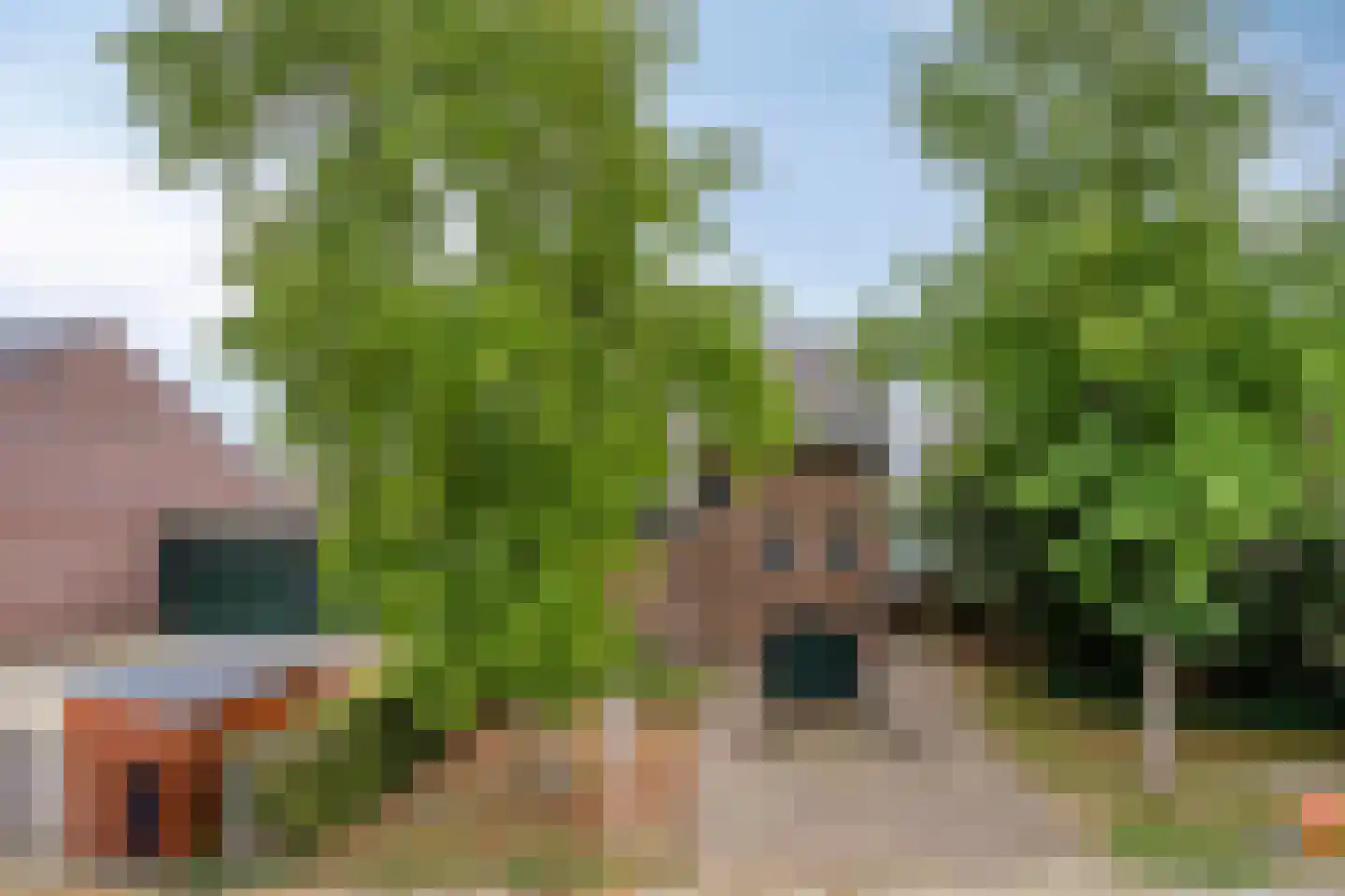 Kleine Dries 21 Holtum thumbnail 26