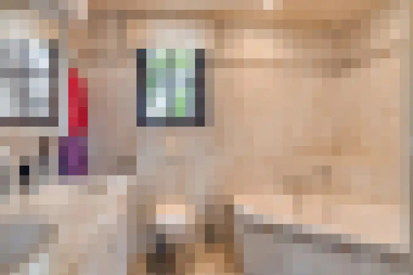Kleine Dries 21 Holtum thumbnail 32