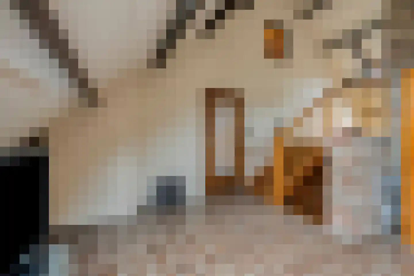 Kleine Dries 21 Holtum thumbnail 39