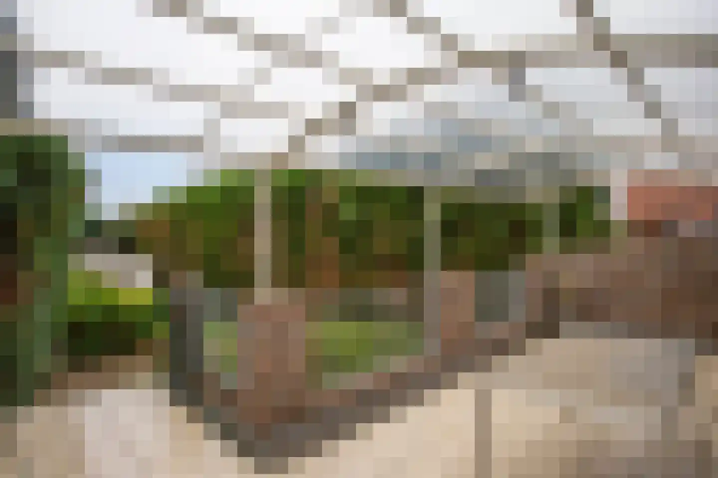 Kleine Dries 21 Holtum thumbnail 46