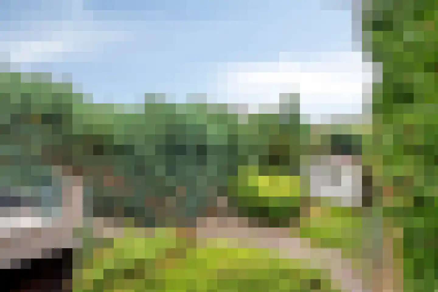 Kleine Dries 21 Holtum thumbnail 47