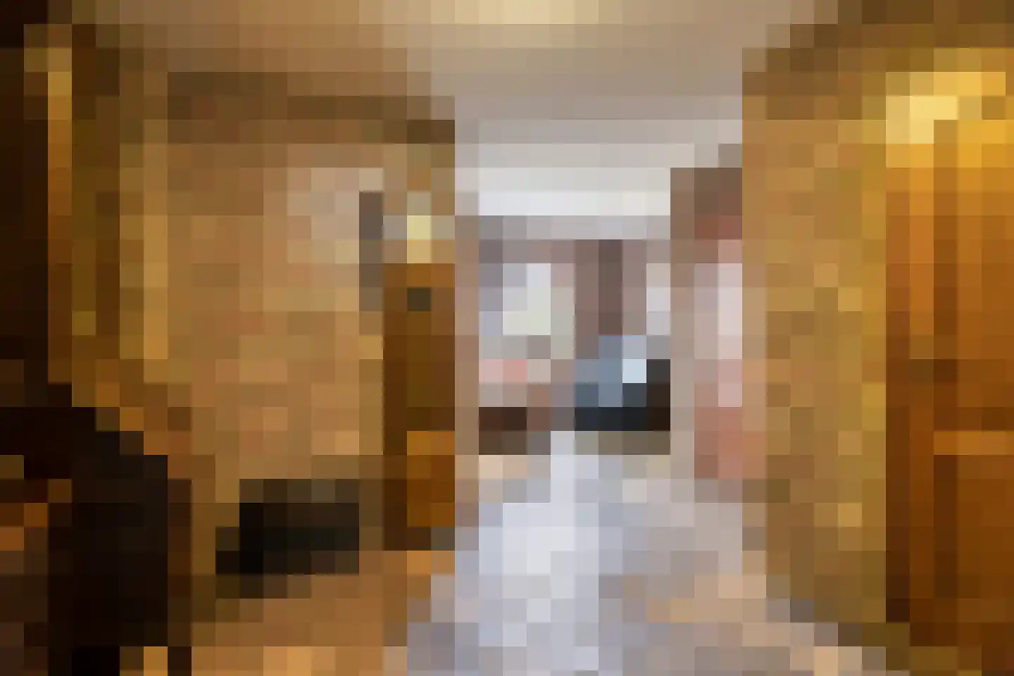 Kleine Dries 21 Holtum thumbnail 5