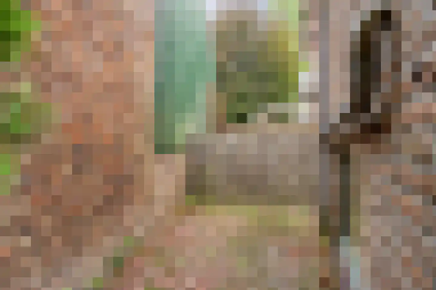 Kleine Dries 21 Holtum thumbnail 56