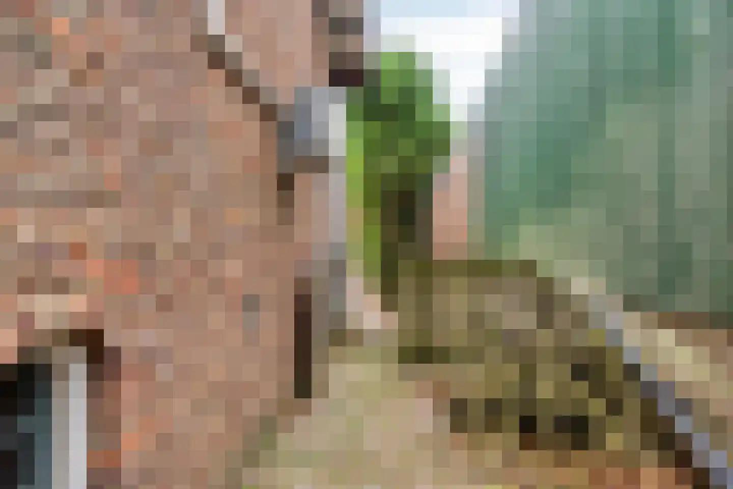 Kleine Dries 21 Holtum thumbnail 57