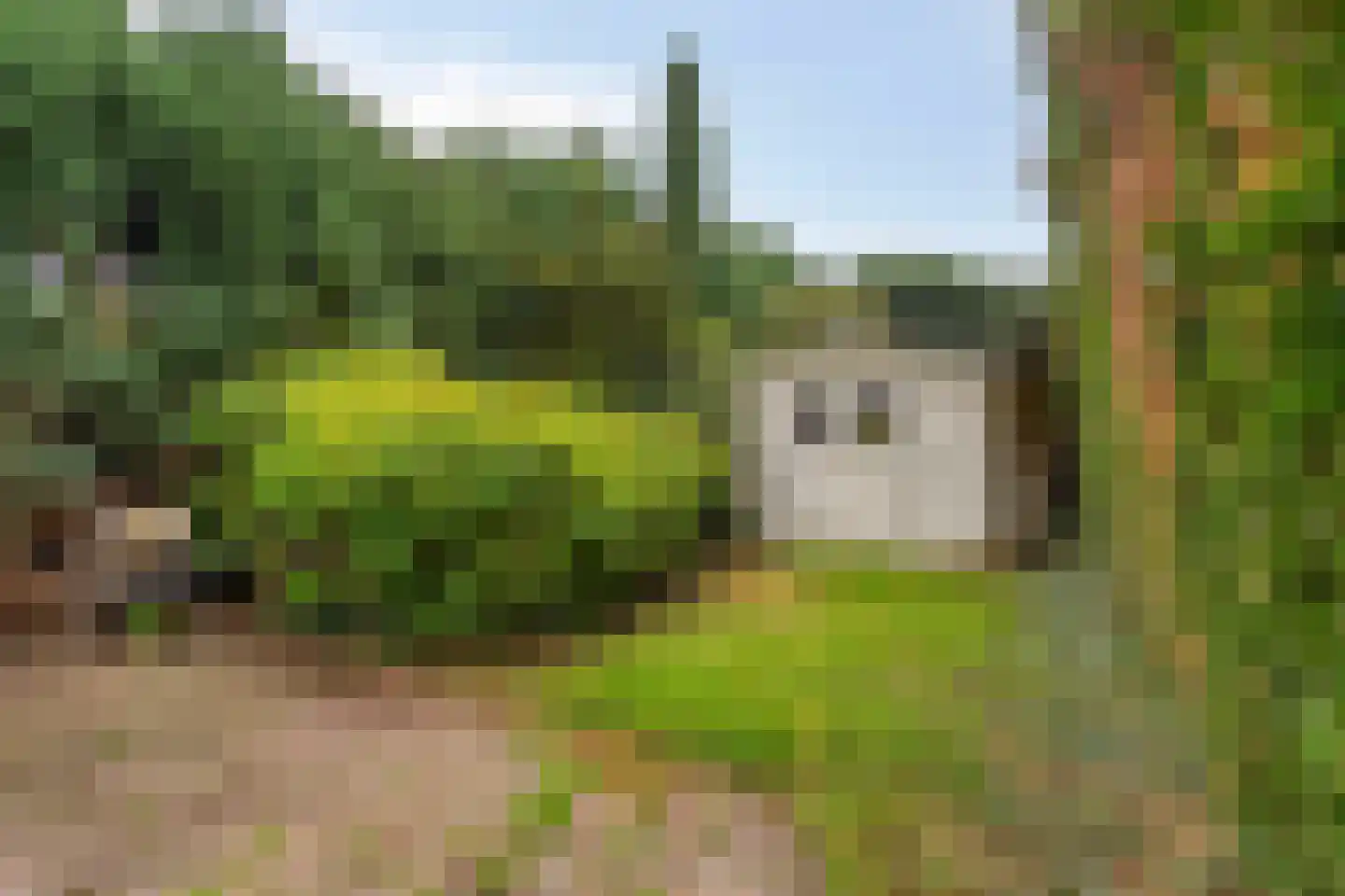 Kleine Dries 21 Holtum thumbnail 58