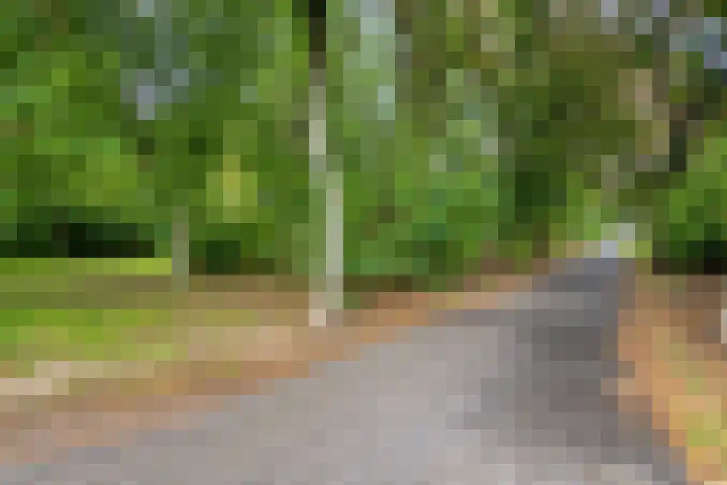 Kleine Dries 21 Holtum thumbnail 62