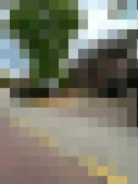 Kleine Dries 21 Holtum thumbnail 7