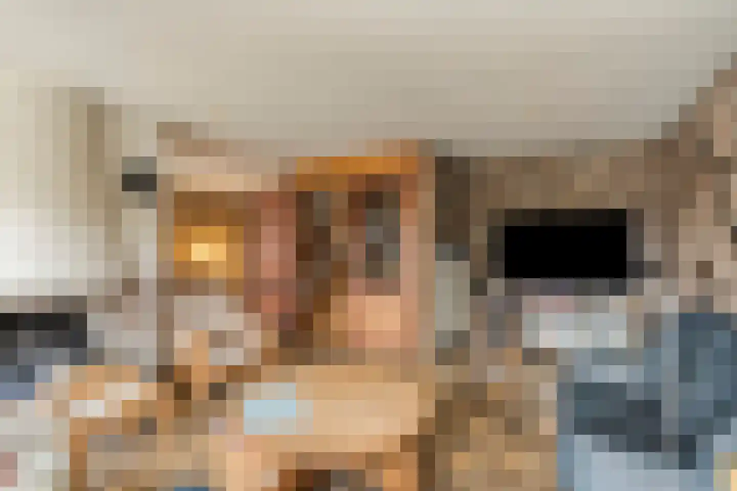 Kleine Dries 21 Holtum thumbnail 8