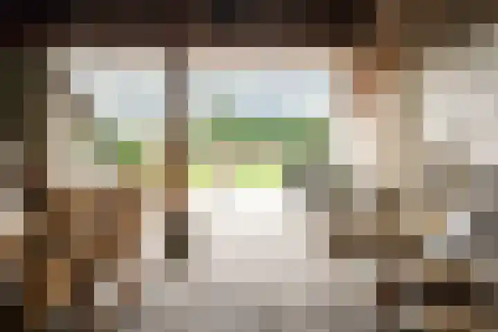 Kleine Dries 23 Holtum thumbnail 28