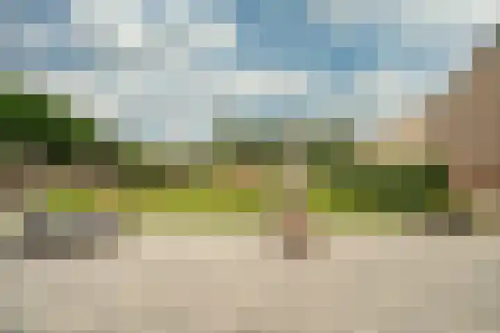 Kleine Dries 23 Holtum thumbnail 32