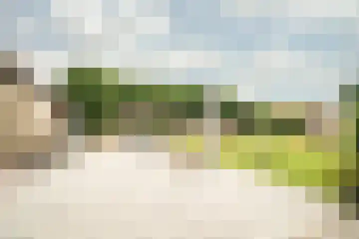 Kleine Dries 23 Holtum thumbnail 35