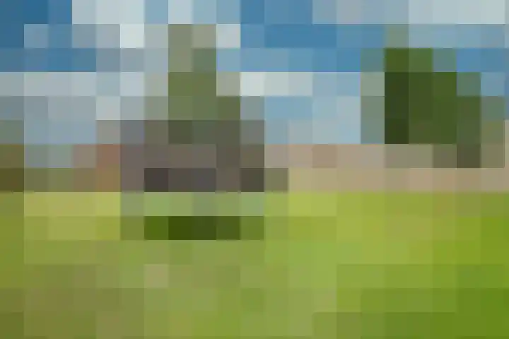 Kleine Dries 23 Holtum thumbnail 37