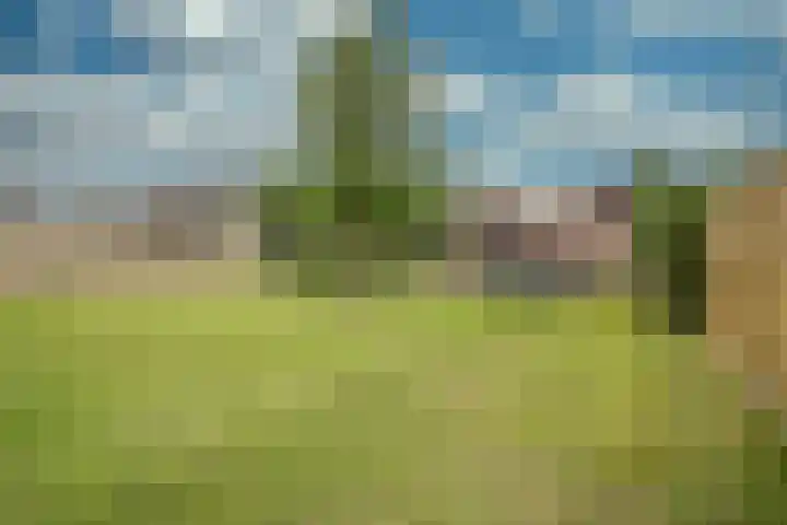Kleine Dries 23 Holtum thumbnail 38