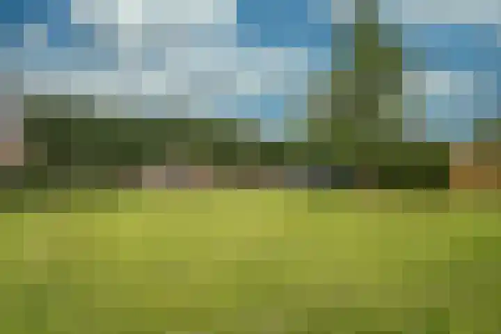 Kleine Dries 23 Holtum thumbnail 39