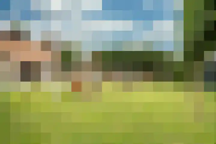 Kleine Dries 23 Holtum thumbnail 41