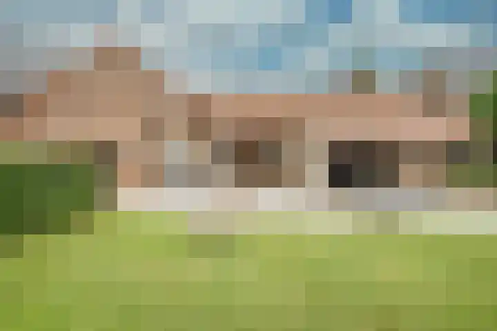 Kleine Dries 23 Holtum thumbnail 43