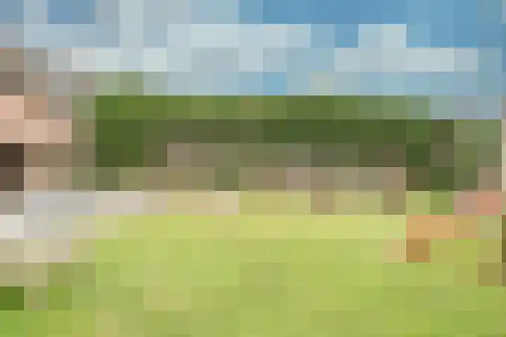 Kleine Dries 23 Holtum thumbnail 44