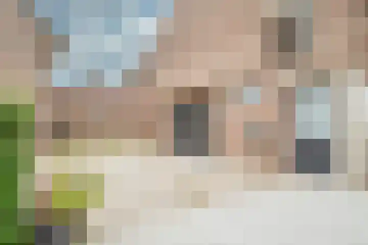 Kleine Dries 23 Holtum thumbnail 45